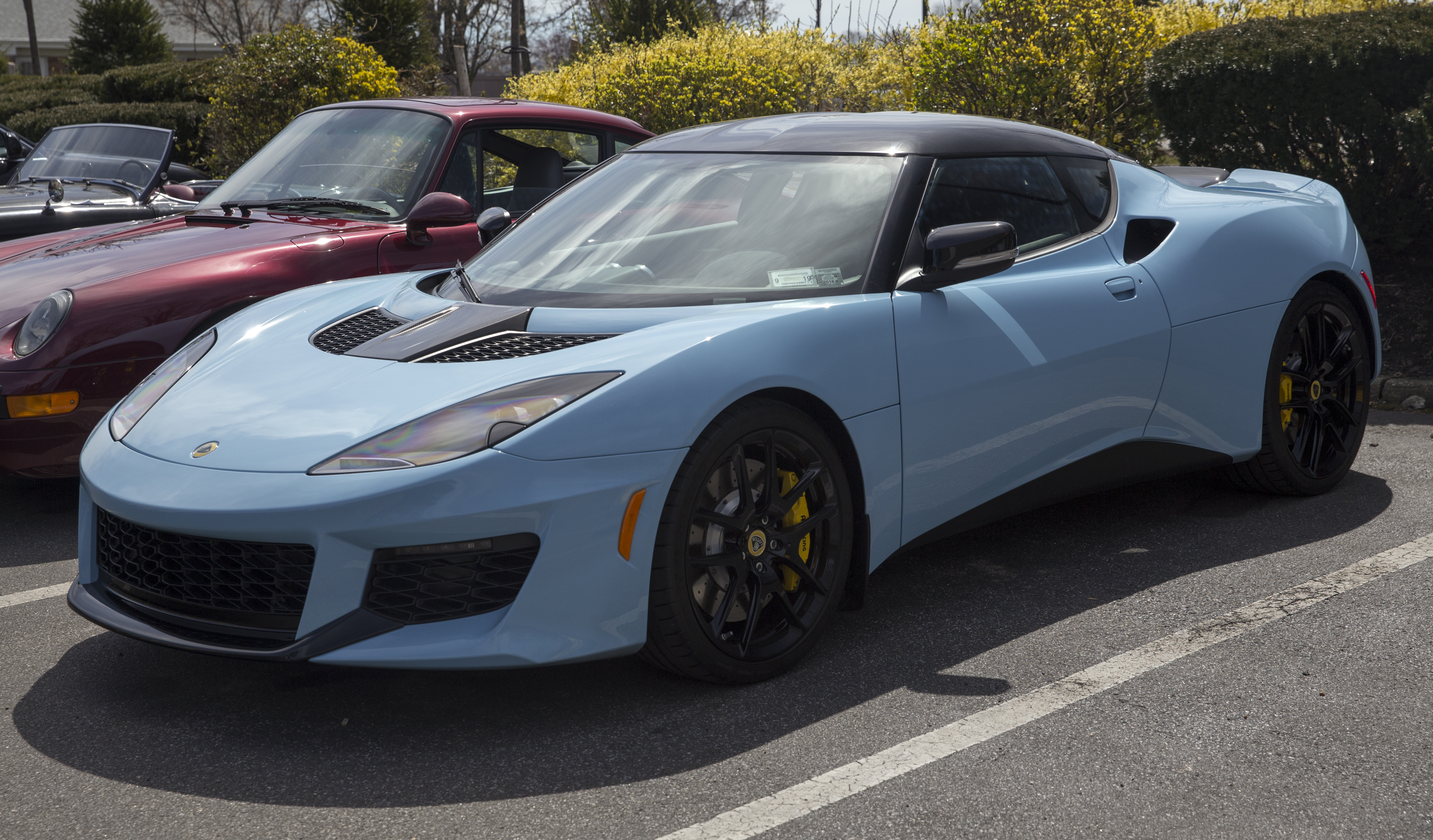 Lotus
